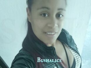 Bushalice