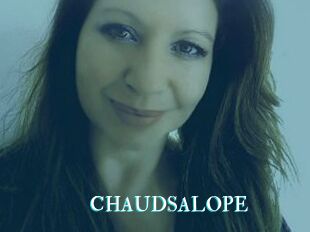 CHAUDSALOPE
