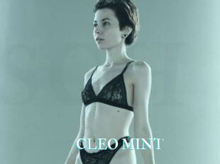 CLEO_MINT