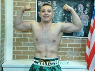 CarlitoBoxer