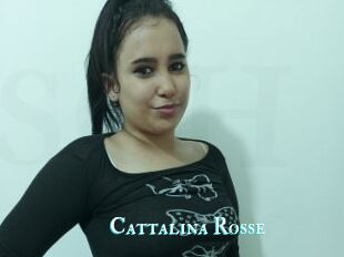 Cattalina_Rosse