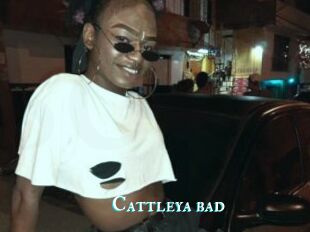 Cattleya_bad