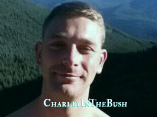 CharleyInTheBush