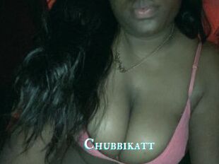 Chubbikatt