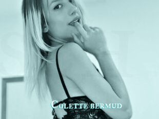 Colette_bermud