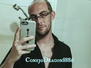 ConejoDragon8886