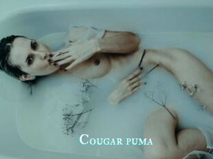 Cougar_puma