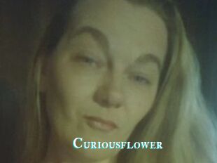 Curiousflower