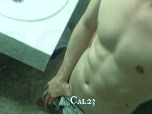 Cal23