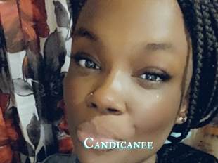 Candicanee