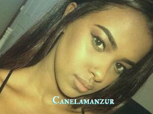 Canelamanzur