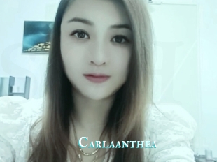 Carlaanthea