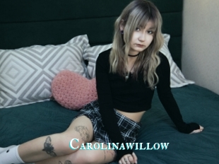 Carolinawillow