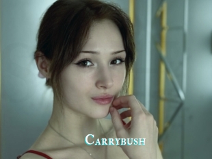 Carrybush