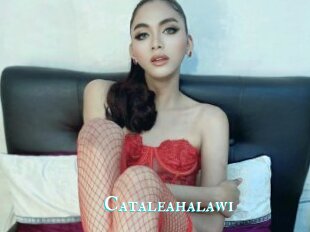 Cataleahalawi