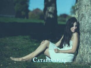 Catalina1014