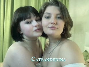 Cateandedina