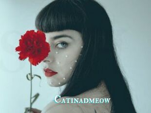 Catinadmeow