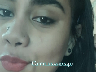 Cattleyasexy4u