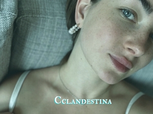 Cclandestina