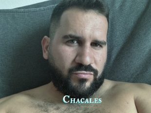 Chacales