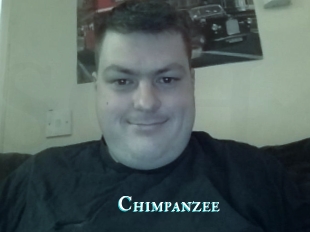 Chimpanzee