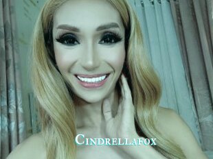 Cindrellafox