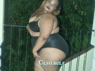 Cleo_bule