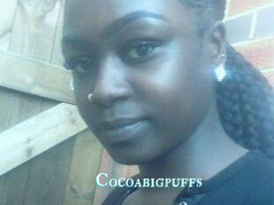 Cocoabigpuffs