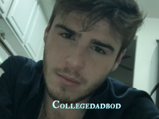 Collegedadbod