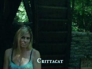 Crittacat