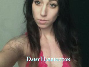 Daisy_Harrington