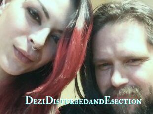 DeziDisturbedandEsection