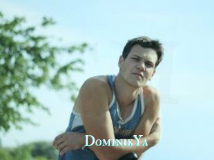 DominikYa