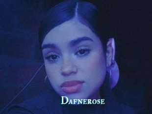 Dafnerose