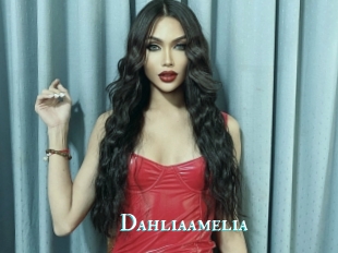 Dahliaamelia