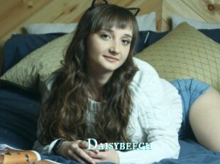 Daisybeech