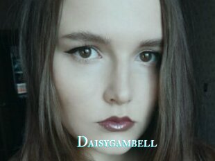 Daisygambell