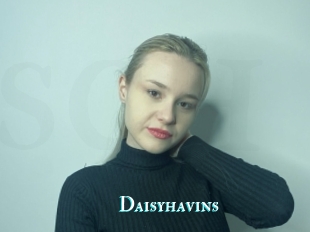 Daisyhavins