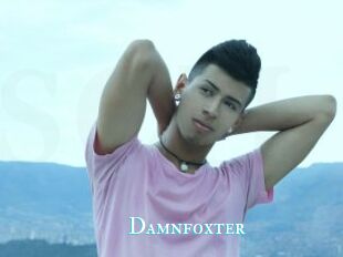 Damnfoxter