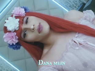 Dana_mein