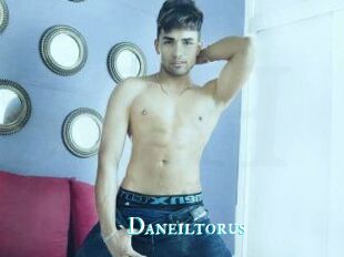 Daneil_torus