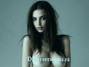 Danitestmodel12