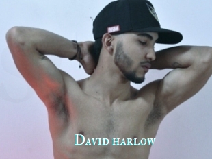 David_harlow