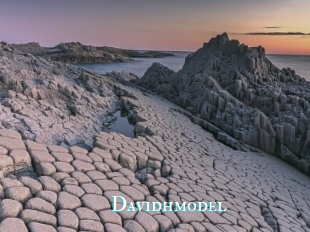 Davidhmodel