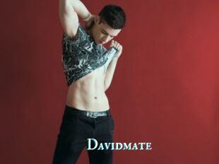 Davidmate