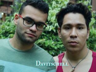 Davitschell