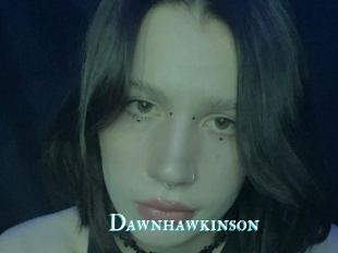 Dawnhawkinson