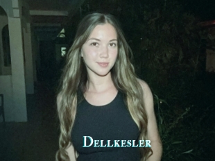 Dellkesler