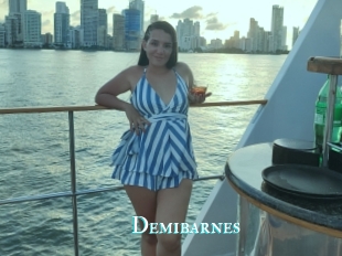 Demibarnes